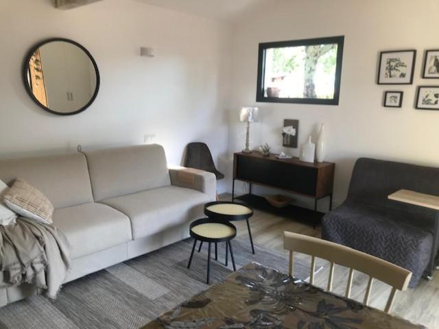 La Brindille Petit Mas Provencal Meuble De Tourisme 3 Etoiles 2-3 Personnes 1 Piece 30 M2 Tout Confort Lisiere Foret Jardin Jacuzzi Piscine Saint-Paul-en-Foret Luaran gambar