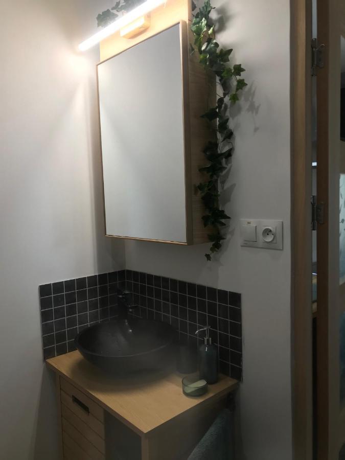 La Brindille Petit Mas Provencal Meuble De Tourisme 3 Etoiles 2-3 Personnes 1 Piece 30 M2 Tout Confort Lisiere Foret Jardin Jacuzzi Piscine Saint-Paul-en-Foret Luaran gambar