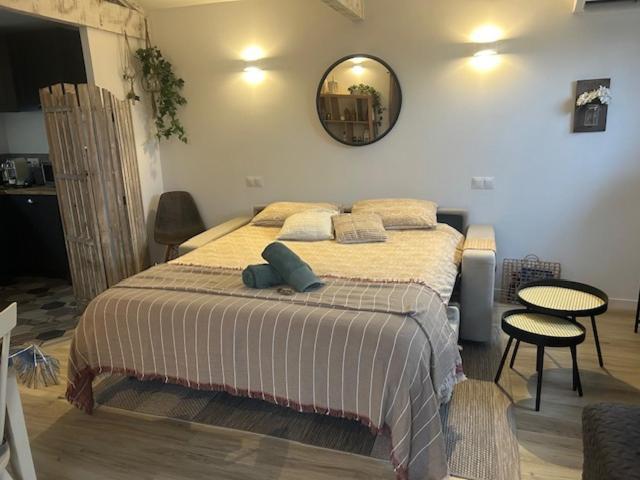 La Brindille Petit Mas Provencal Meuble De Tourisme 3 Etoiles 2-3 Personnes 1 Piece 30 M2 Tout Confort Lisiere Foret Jardin Jacuzzi Piscine Saint-Paul-en-Foret Luaran gambar