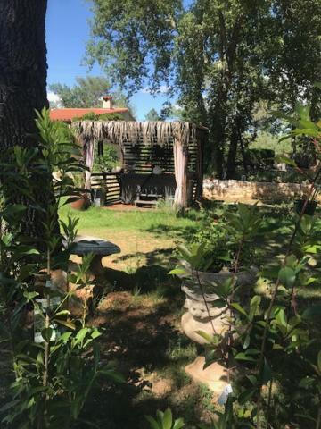 La Brindille Petit Mas Provencal Meuble De Tourisme 3 Etoiles 2-3 Personnes 1 Piece 30 M2 Tout Confort Lisiere Foret Jardin Jacuzzi Piscine Saint-Paul-en-Foret Luaran gambar